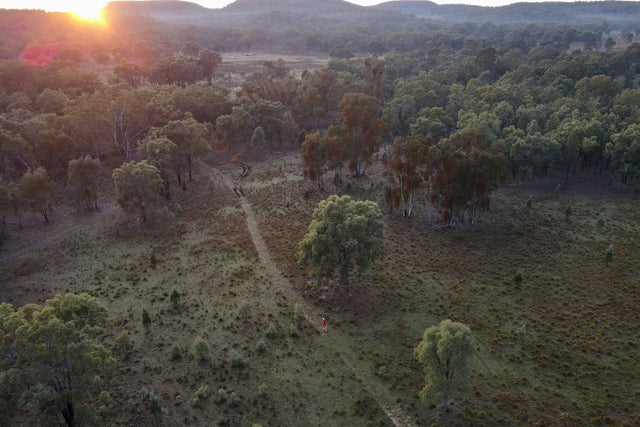 Running The Pilliga Ultra Trail Race - Tom Batrouney